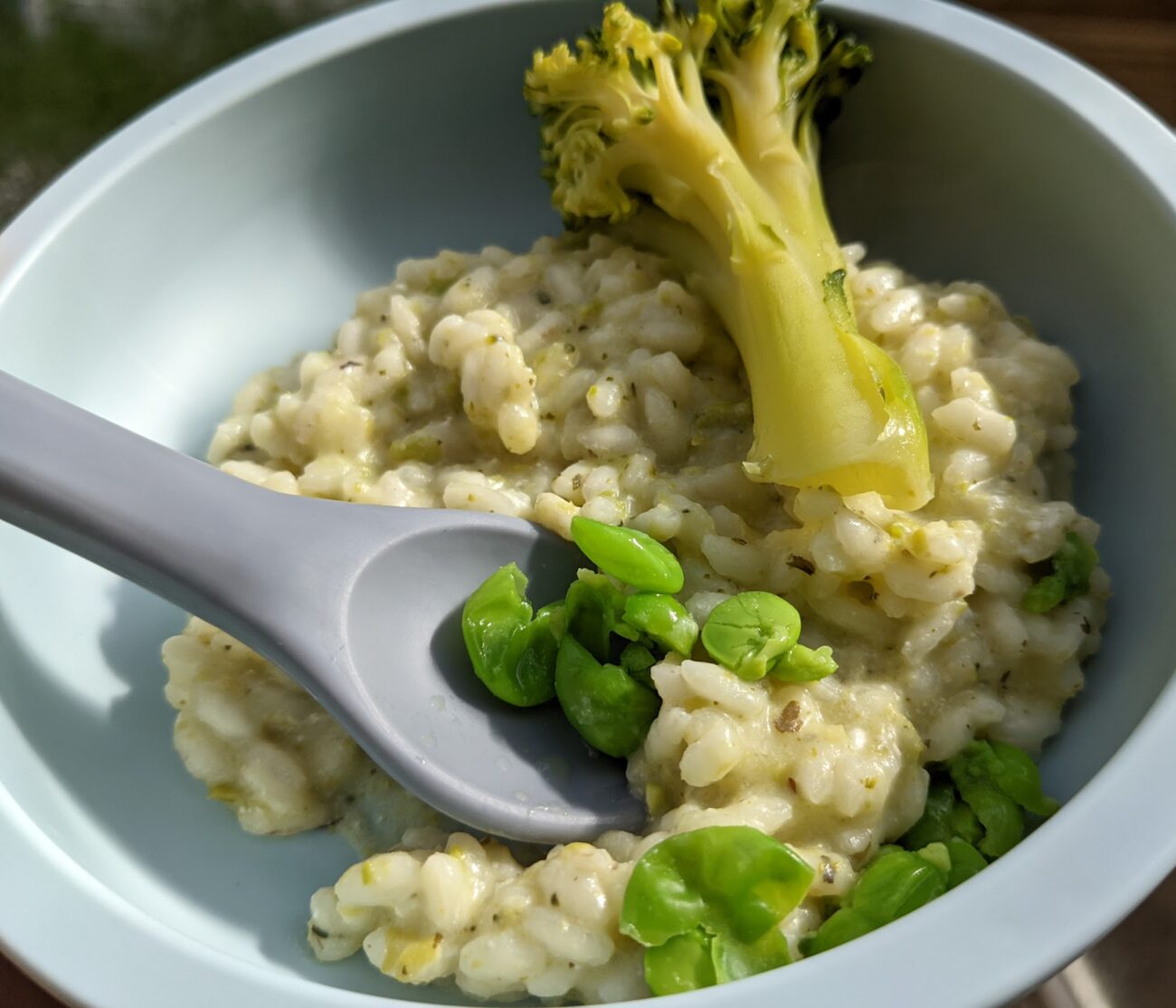 Puree Risotto